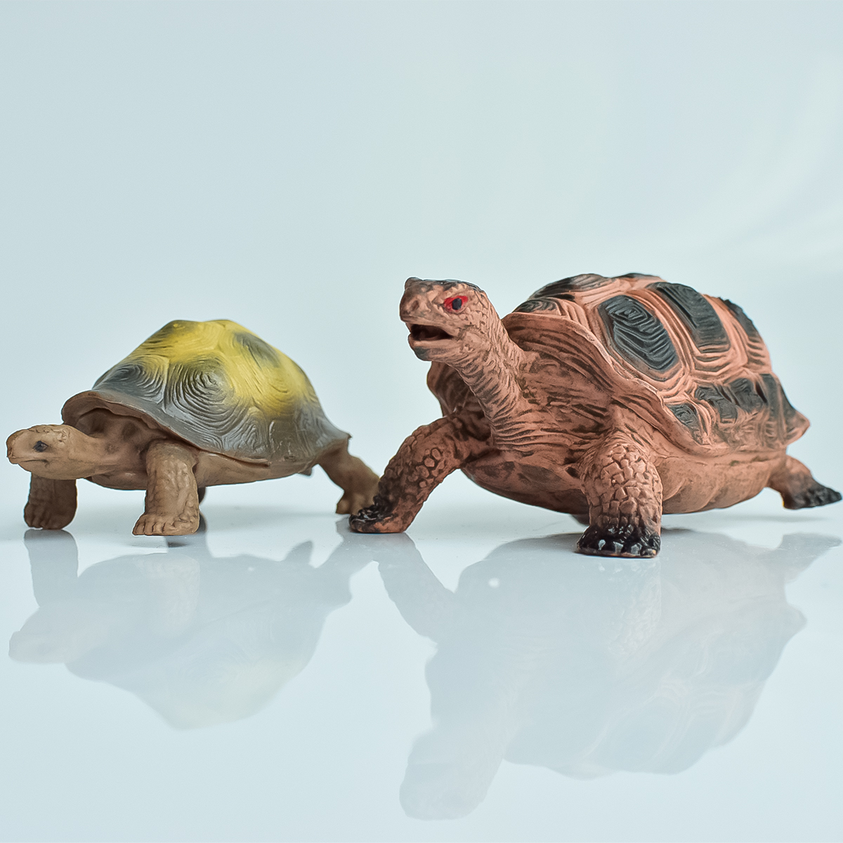 Aquarium Fish Bowl - Painted Realistic Animal Turtle | Aquatic