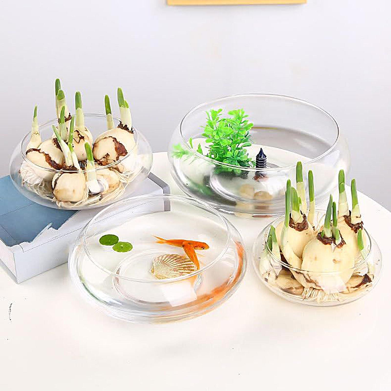 Aquarium Fish Bowl - Fish Glass Bowl Glass Large Hydroponics