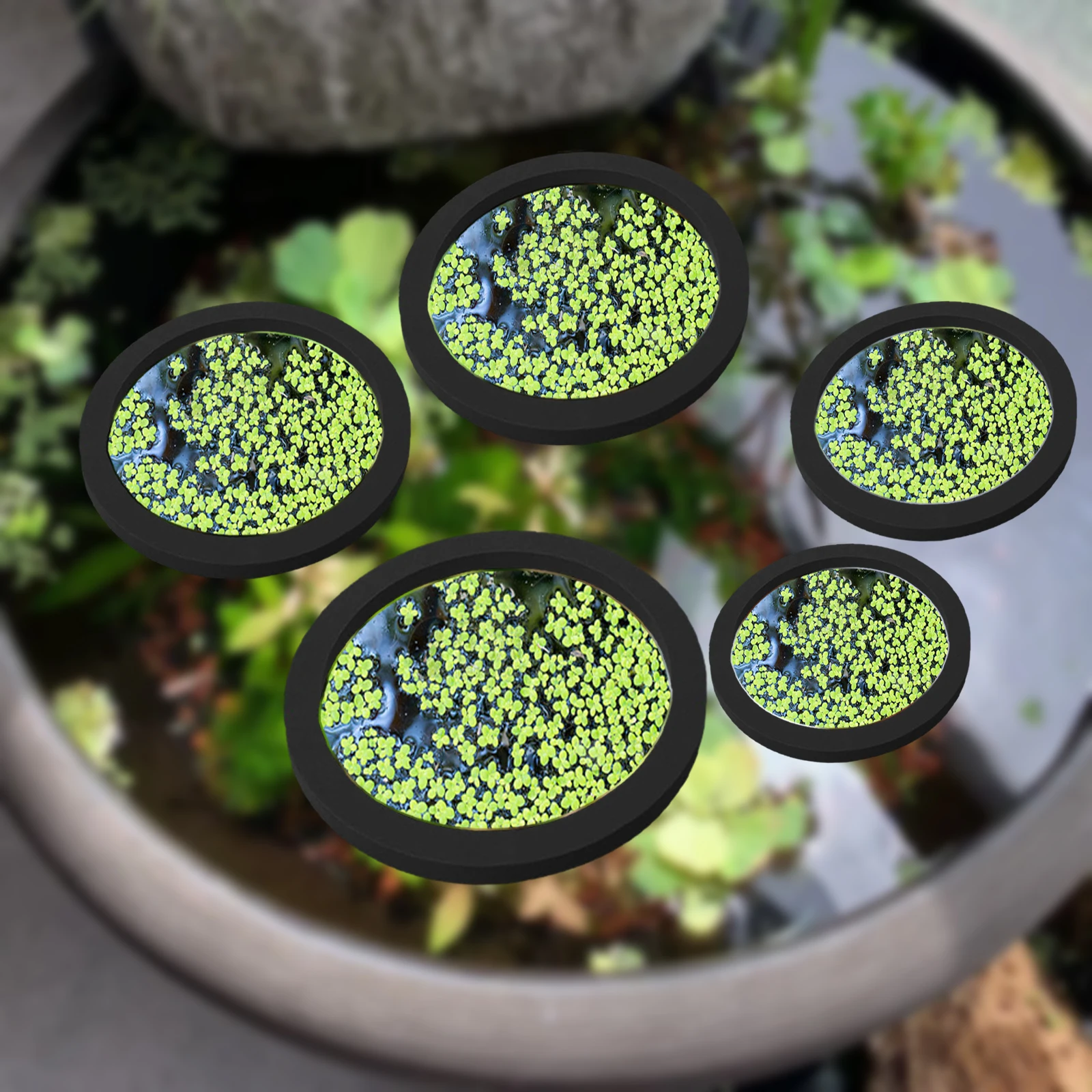 Aquarium Fish Accessories - 5Pcs EVA Fish Feeding Ring Aquarium