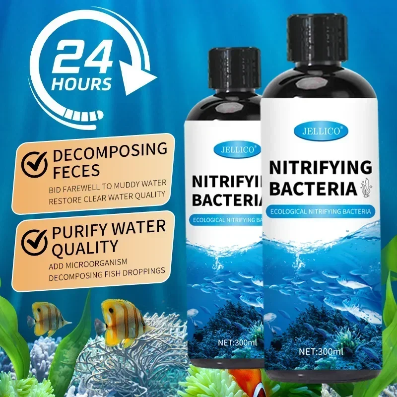 Aquarium Fish Diseases - Nitrifying Bacteria Liquid Fish Tank Water