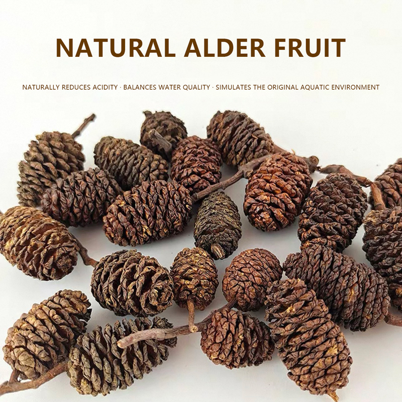 Aquarium Fish Diseases - 20pcs/lot Alder Cones Anti-Bacterial PH Minus