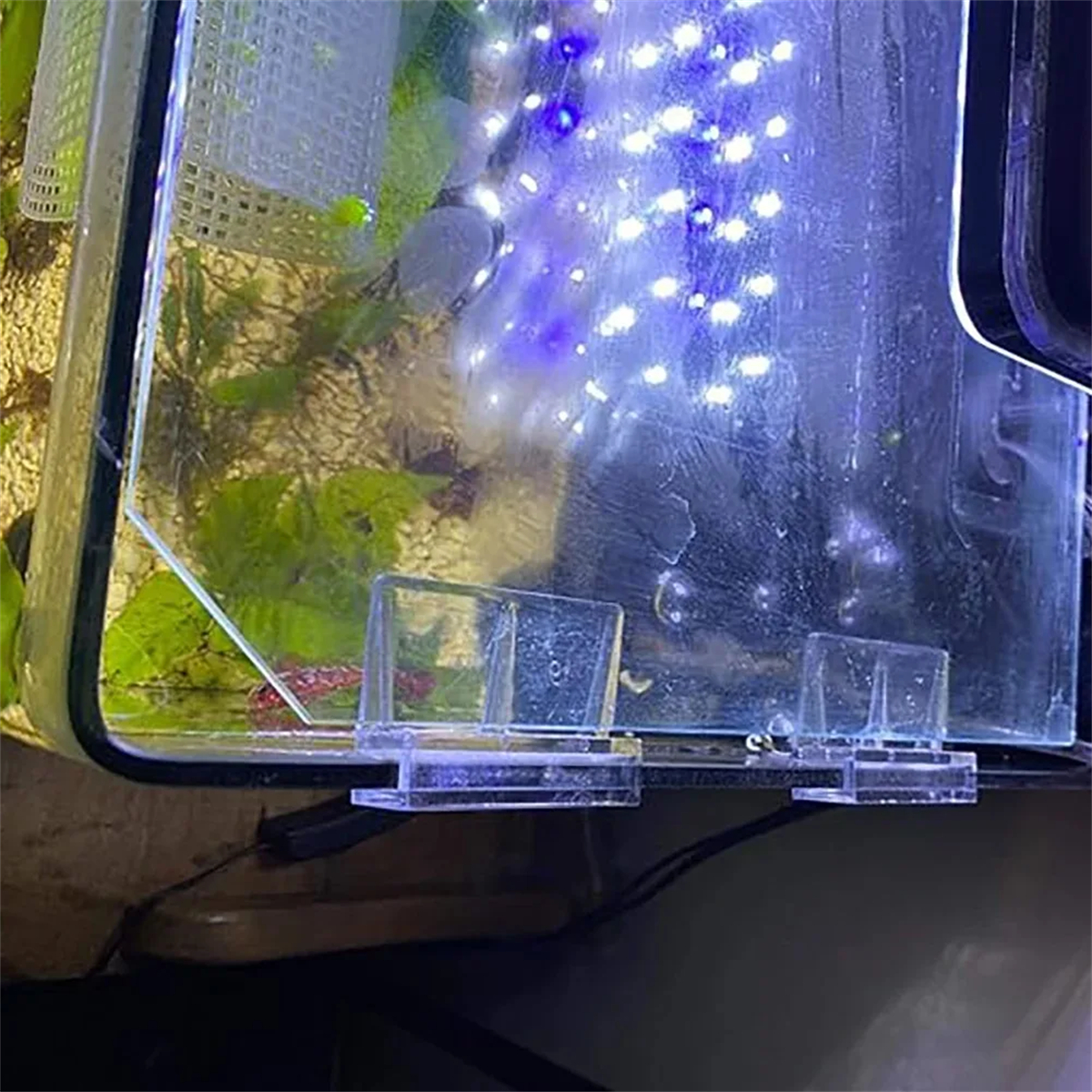 10Pcs Transparent Acrylic Fish - đánh giá và giá Aquarium Fish Elevator
