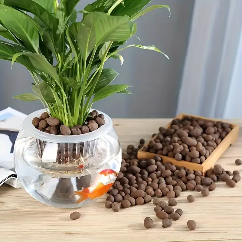 Lightweight & Breathable Terra - đánh giá và giá Aquarium Fish Bowl