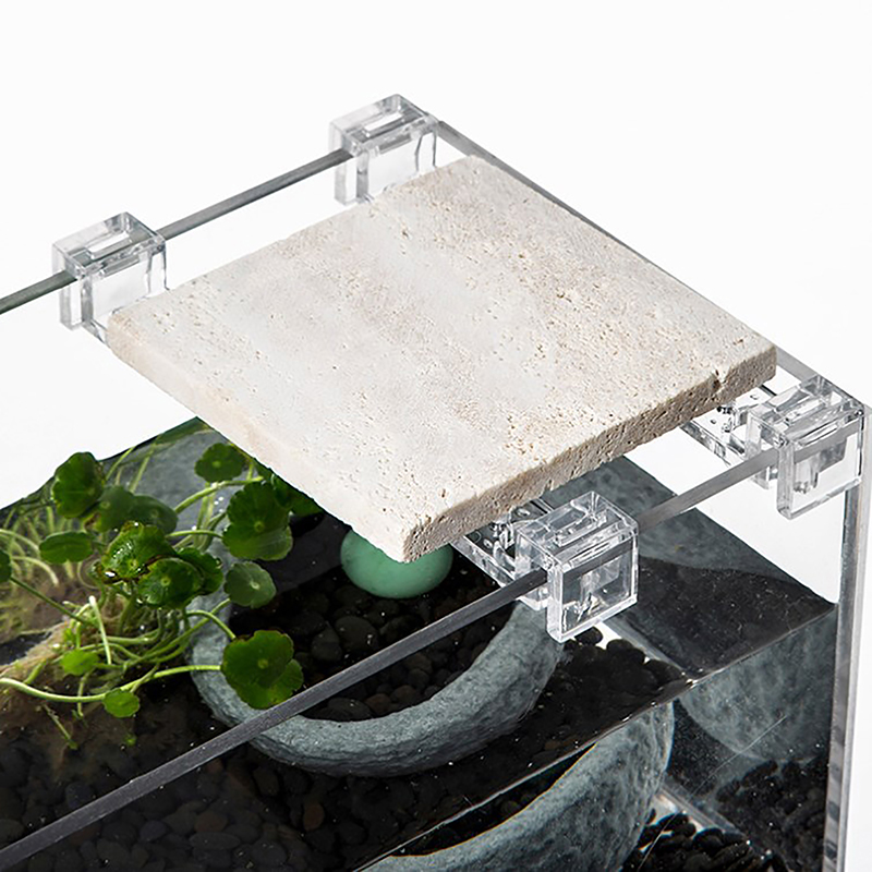 4Pcs 6Mm/8Mm/10Mm Fish Tank Ac - đánh giá và giá Aquarium Fish Elevator