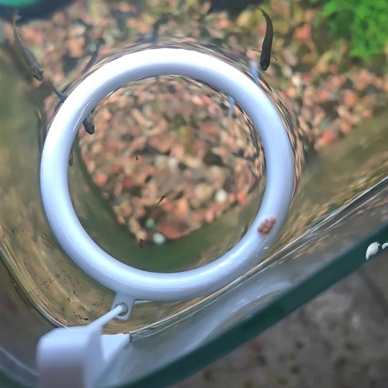 1 Set 3D Printed Floating Aqua - đánh giá và giá Aquarium Fish Auto Feeder