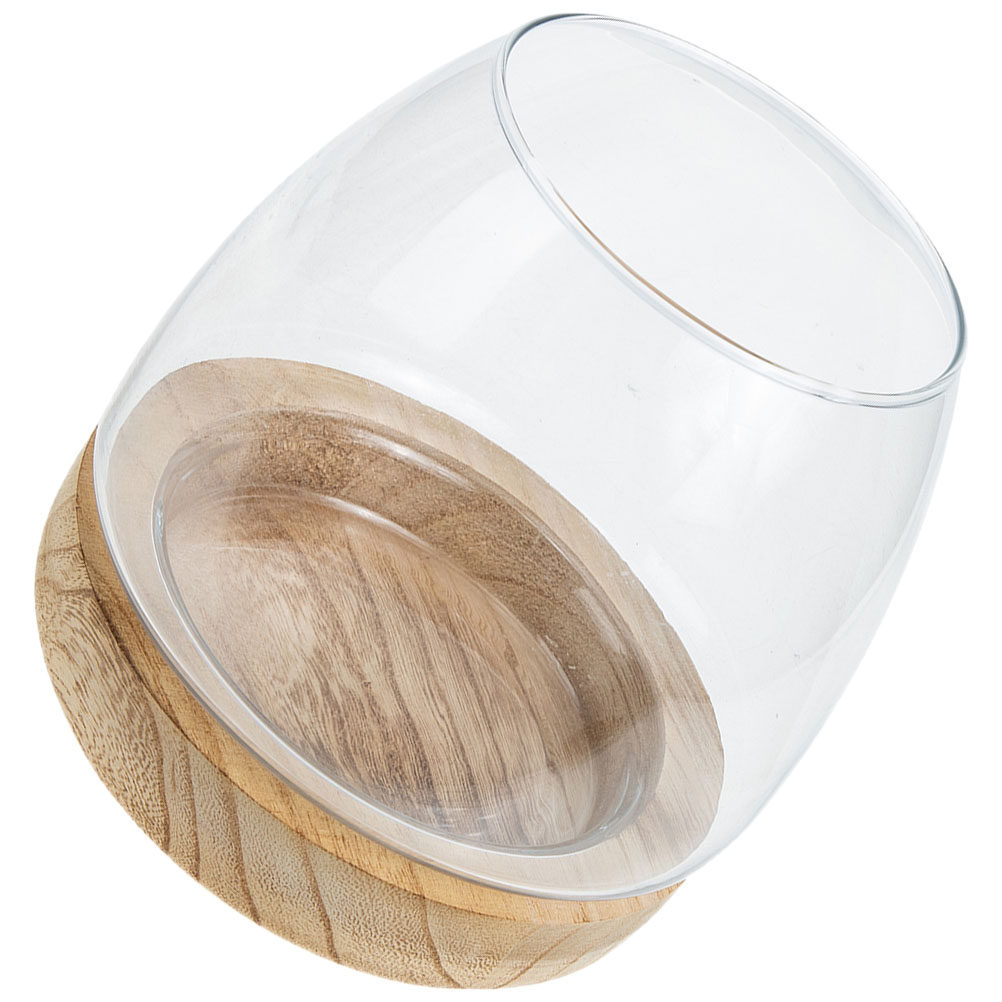 1Set Premium Glass Hydroponic  - đánh giá và giá Aquarium Fish Bowl