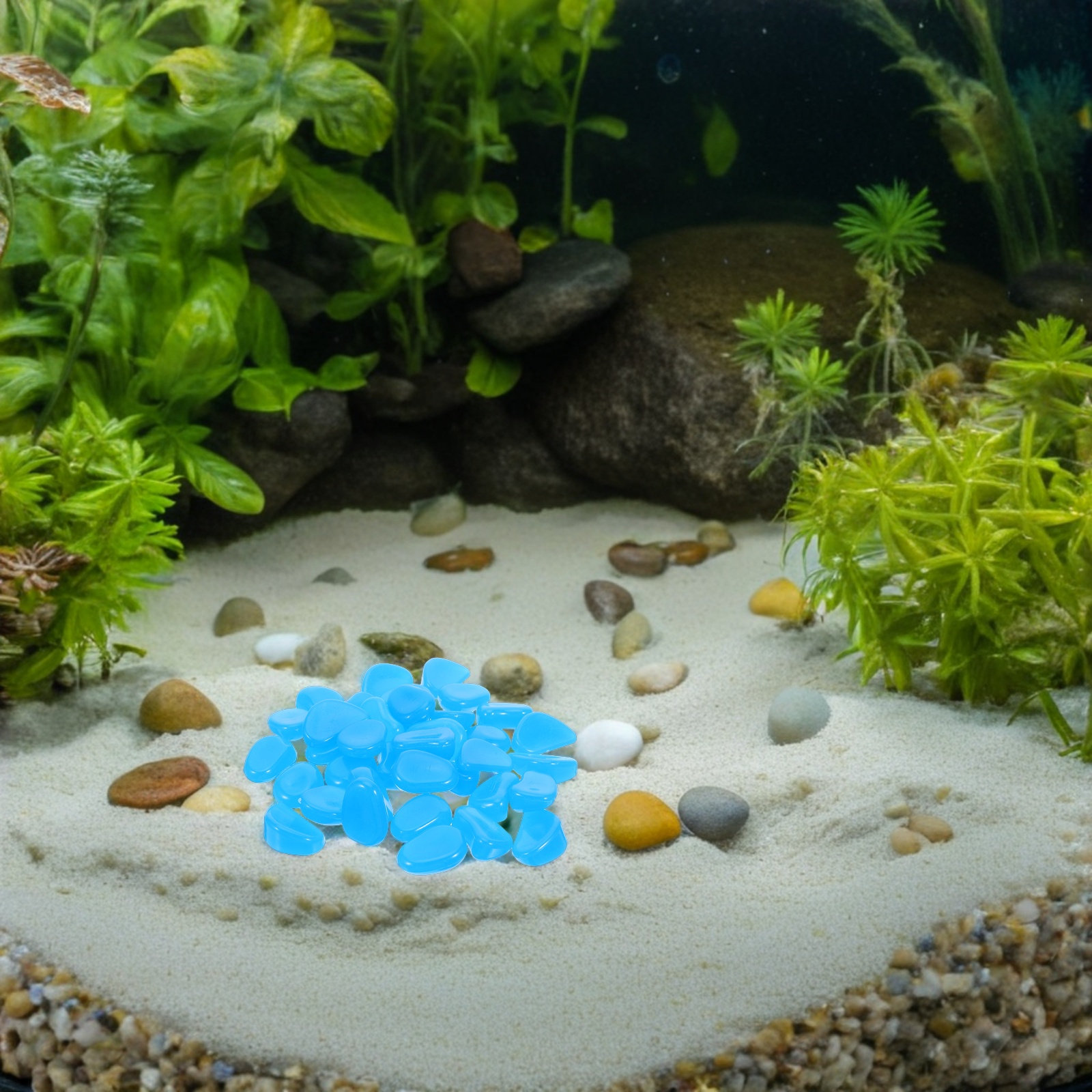 50Pcs Glow-in-The-Dark Resin P - đánh giá và giá Aquarium Fish Glow In The Dark