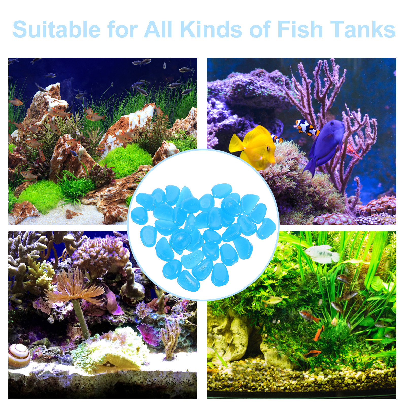 50Pcs Glow-in-The-Dark Resin P - đánh giá và giá Aquarium Fish Glow In The Dark