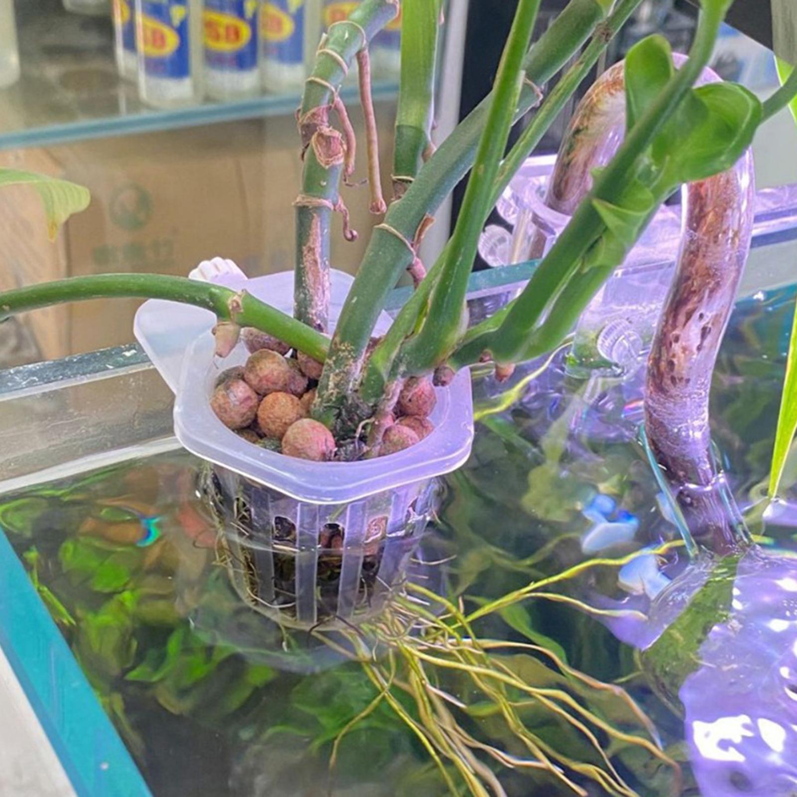 Hydroponic Plant Hanging Holde - đánh giá và giá Aquarium Fish Elevator
