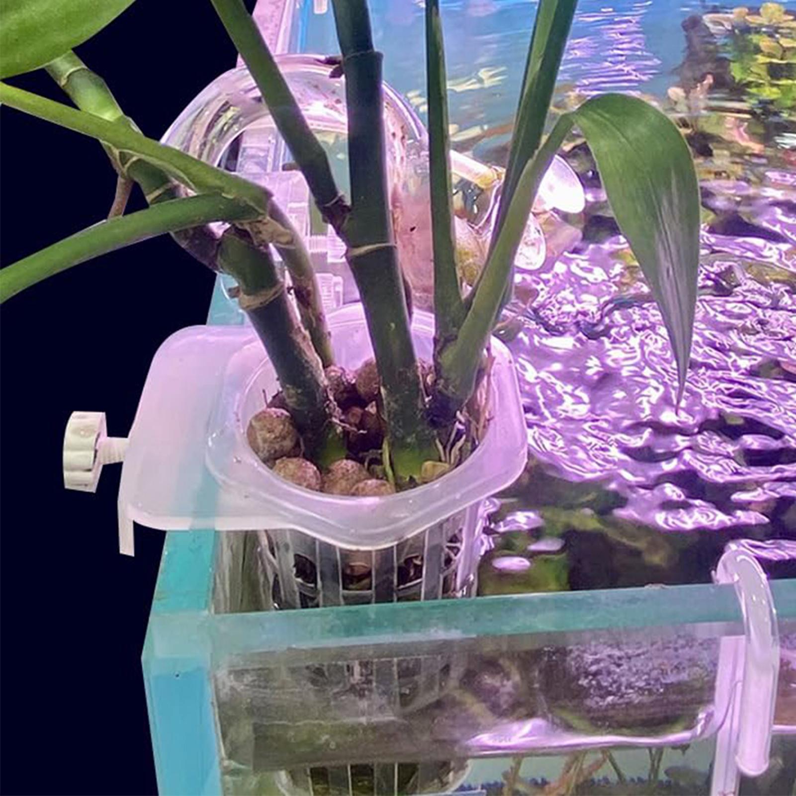 Hydroponic Plant Hanging Holde - đánh giá và giá Aquarium Fish Elevator