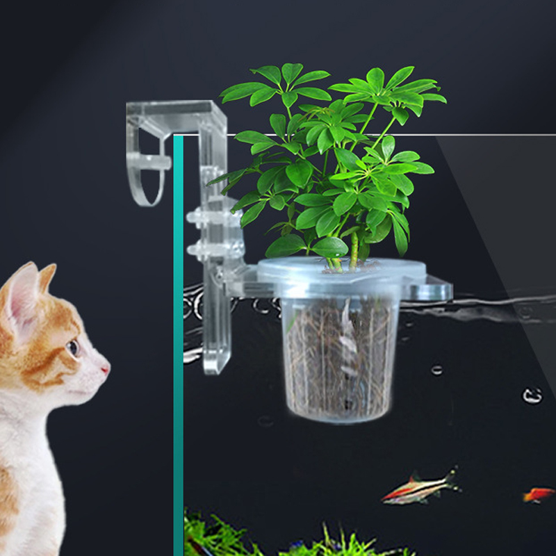 Fish Tank Planting Cups Hydrop - đánh giá và giá Aquarium Fish Elevator