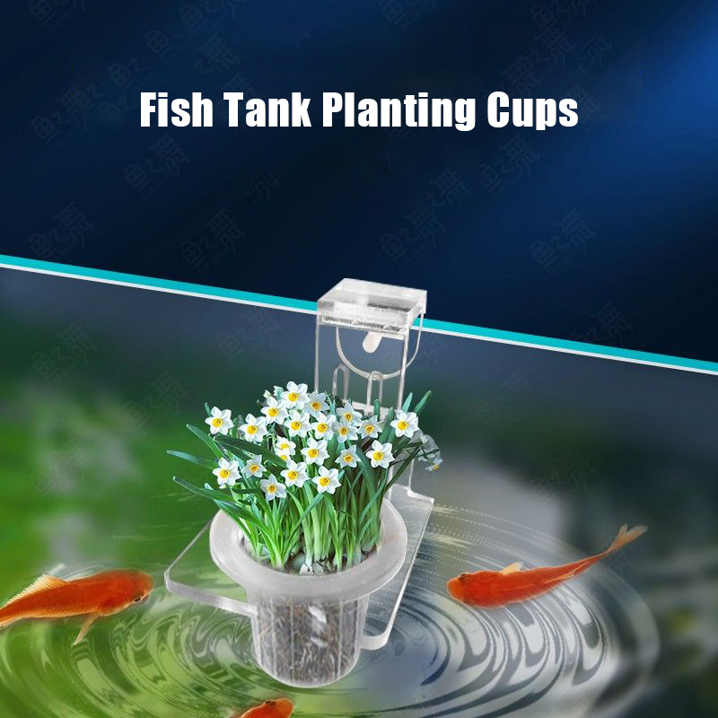 Fish Tank Planting Cups Hydrop - đánh giá và giá Aquarium Fish Elevator