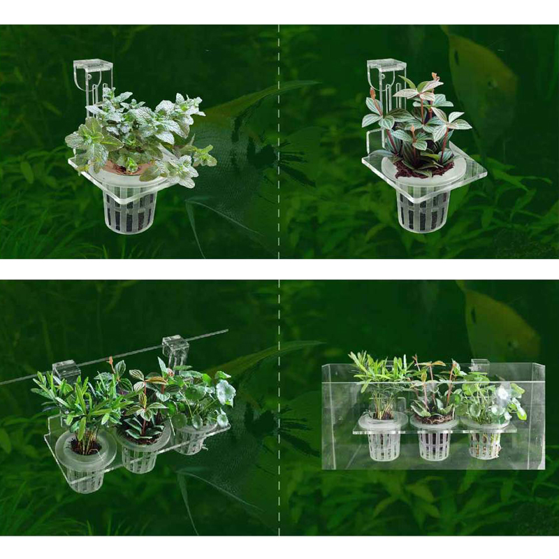 Fish Tank Planting Cups Hydrop - đánh giá và giá Aquarium Fish Elevator