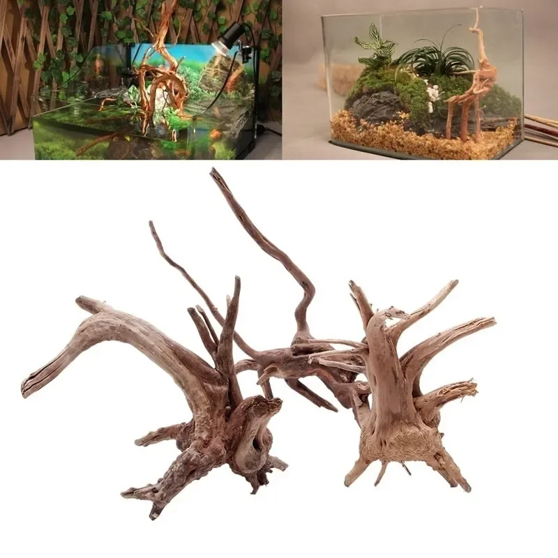 Natural Tree Trunk Driftwood A - đánh giá và giá Aquarium Fish Diseases