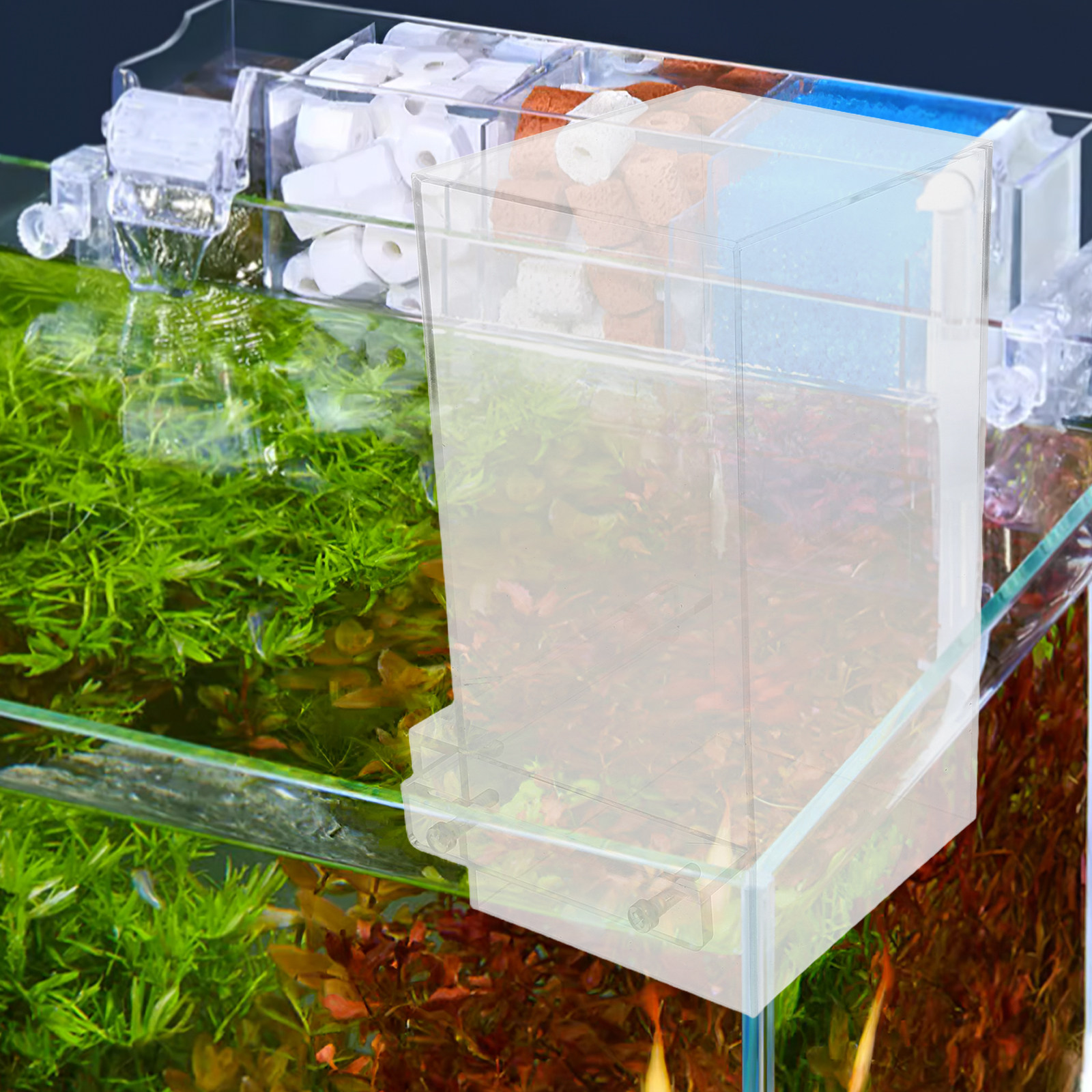 Fish Elevator For Betta Living - đánh giá và giá Aquarium Fish Elevator