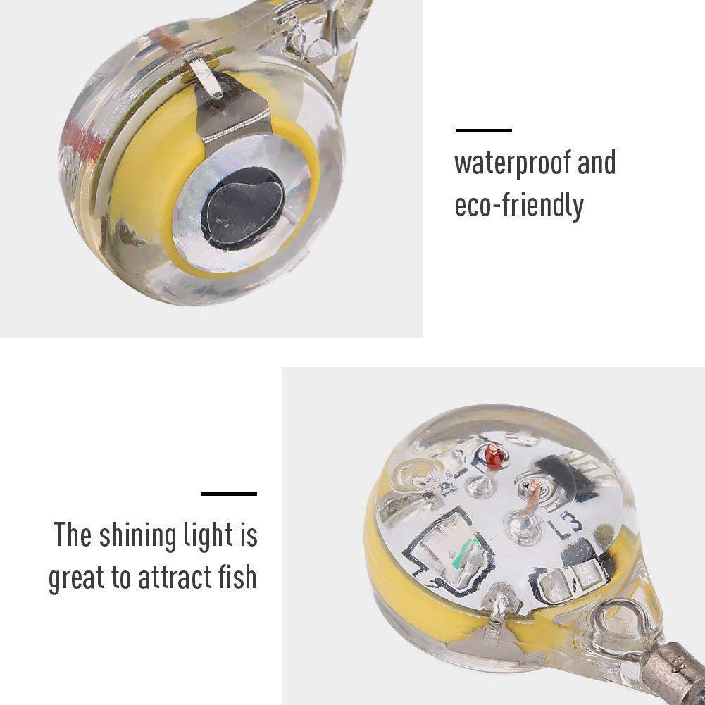 10pcs LED Attracting Fish Ligh - đánh giá và giá Aquarium Fish Diseases