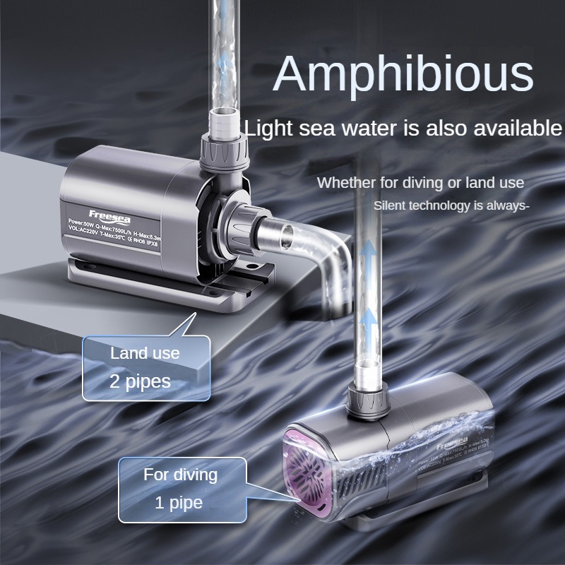 Custom Freesea High Quality 20 - đánh giá và giá Aquarium Fish High Price