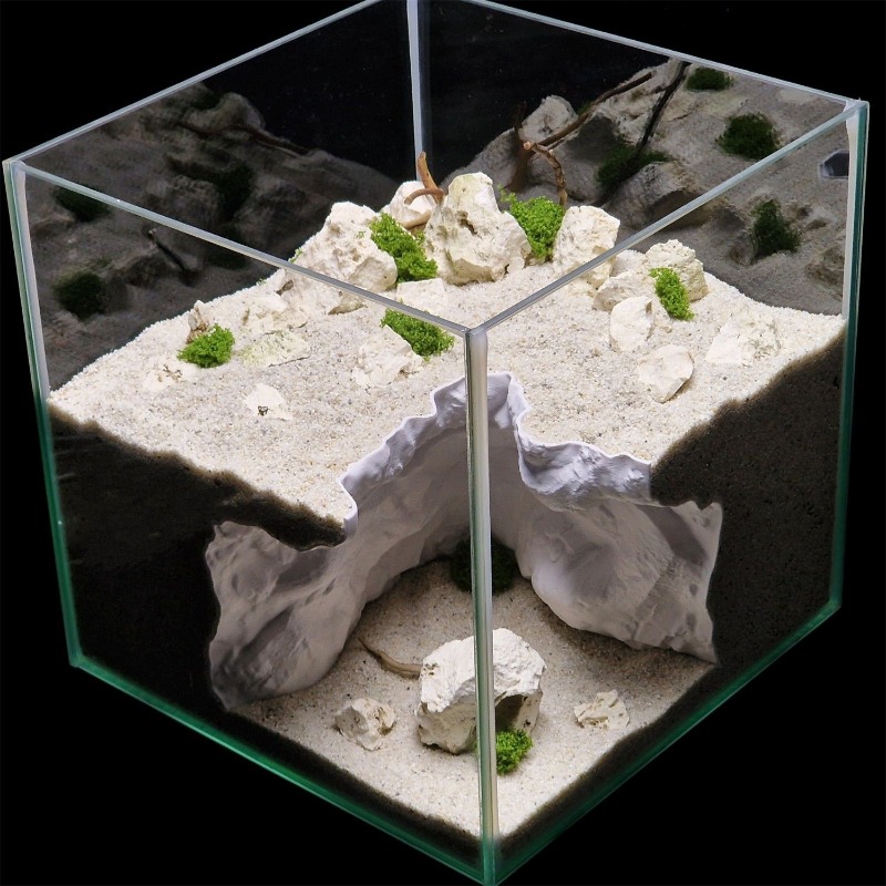 Reptile/Fish Tank Landscaping  - đánh giá và giá Aquarium Fish Elevator