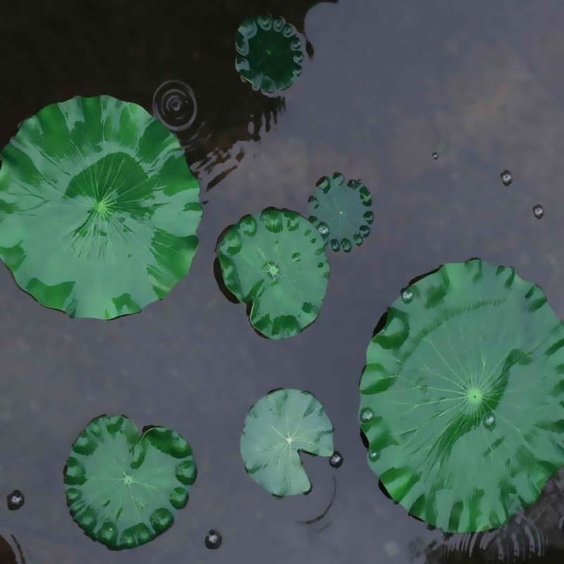 2026 Artificial Water Lily Lot - đánh giá và giá Aquarium Fish Accessories