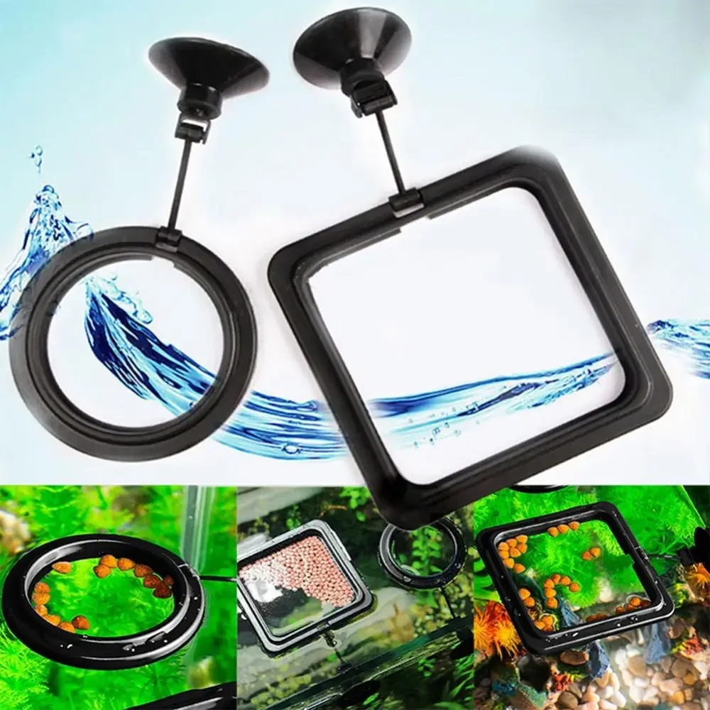Feed Suction Cup Aquarium Feed - đánh giá và giá Aquarium Fish Auto Feeder