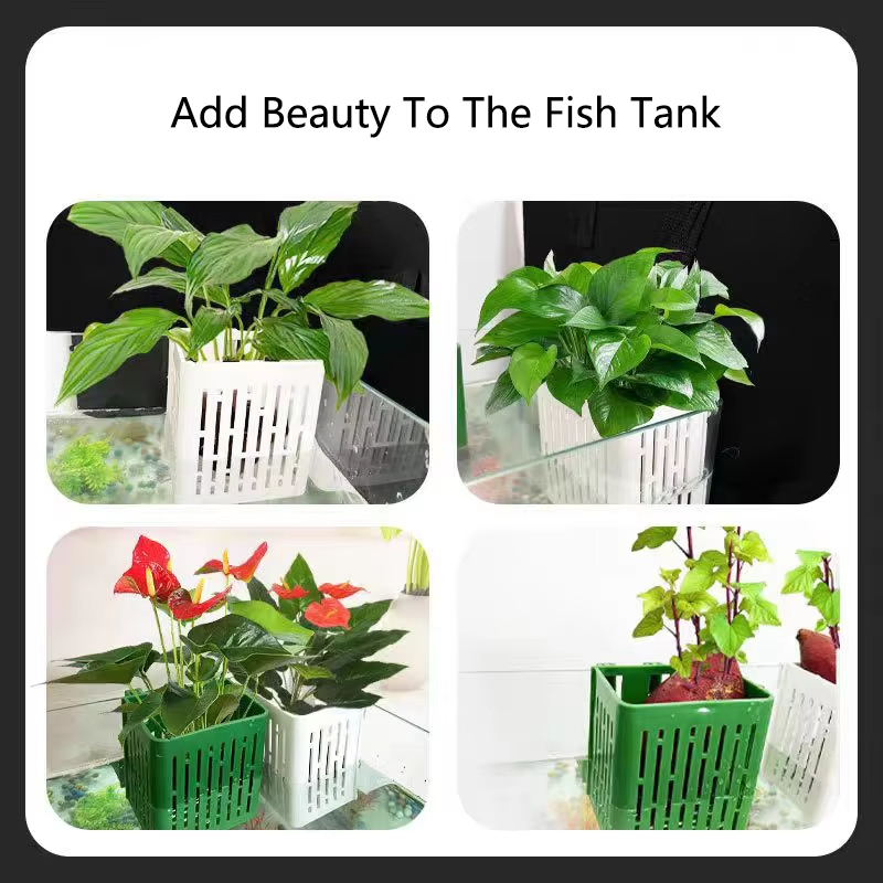 Fish Tank Water Grass Cup Aqua - đánh giá và giá Aquarium Fish Elevator