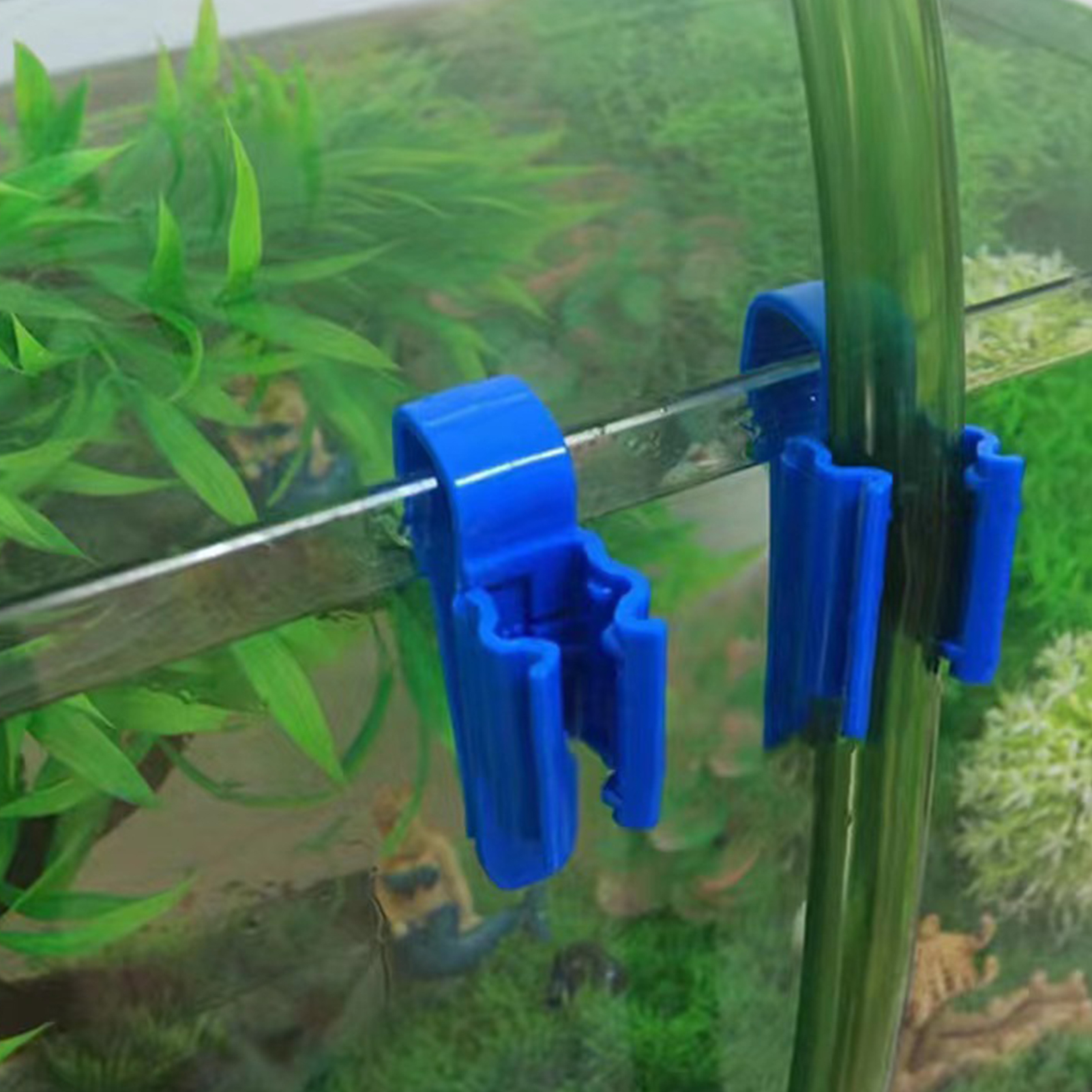Aquarium Tube Holder Clip Fish - đánh giá và giá Aquarium Fish Elevator