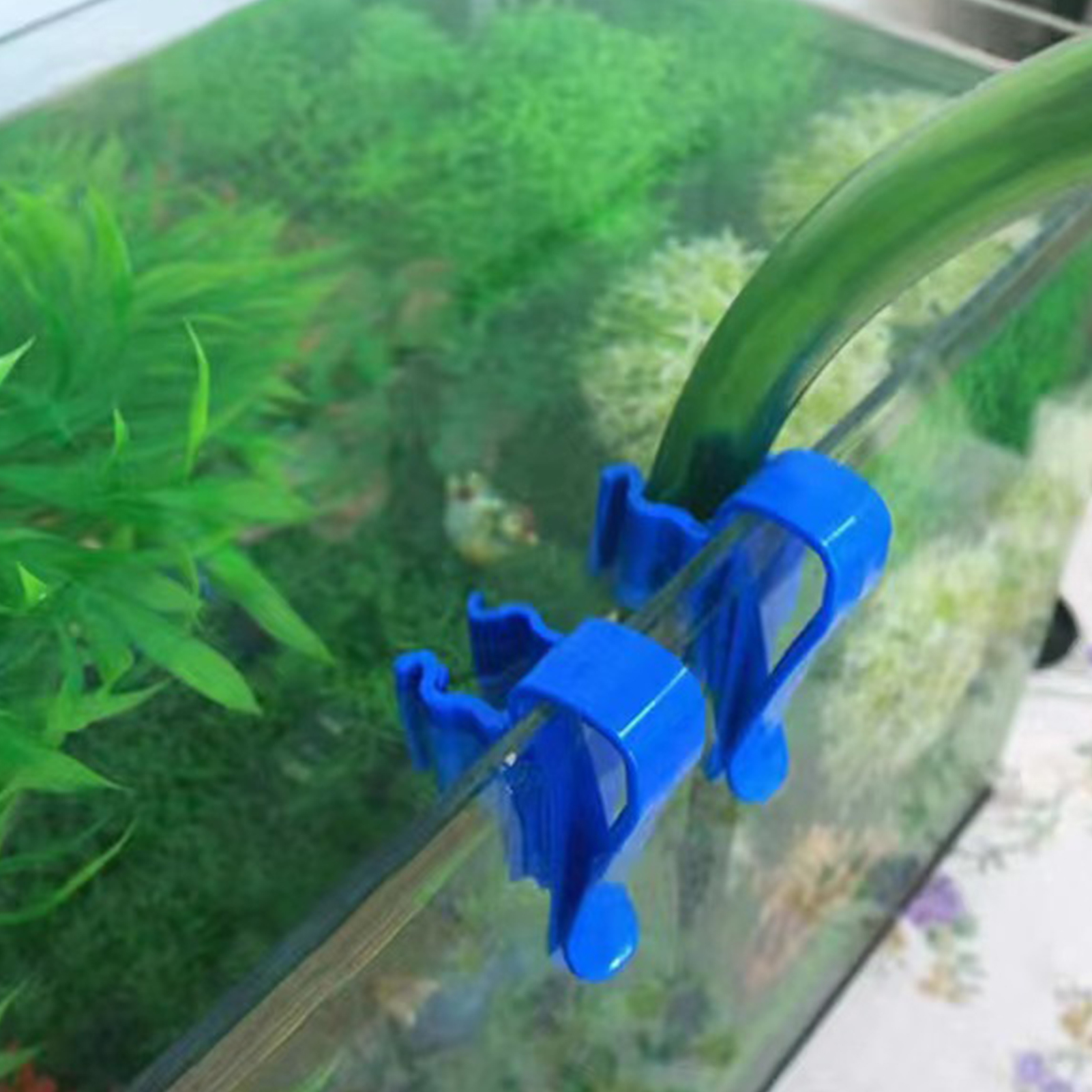 Aquarium Tube Holder Clip Fish - đánh giá và giá Aquarium Fish Elevator