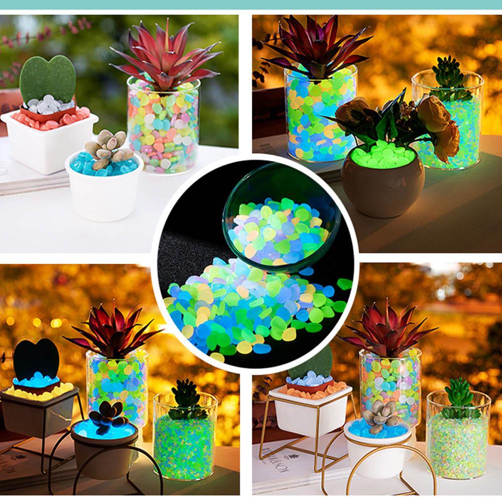 50Pcs Luminous Stones Fish Tan - đánh giá và giá Aquarium Fish Glow In The Dark