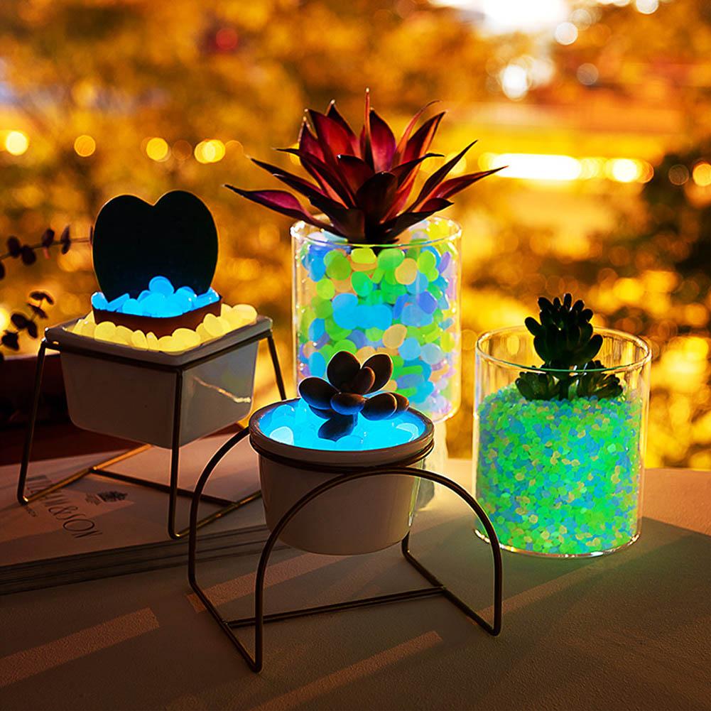 50Pcs Luminous Stones Fish Tan - đánh giá và giá Aquarium Fish Glow In The Dark