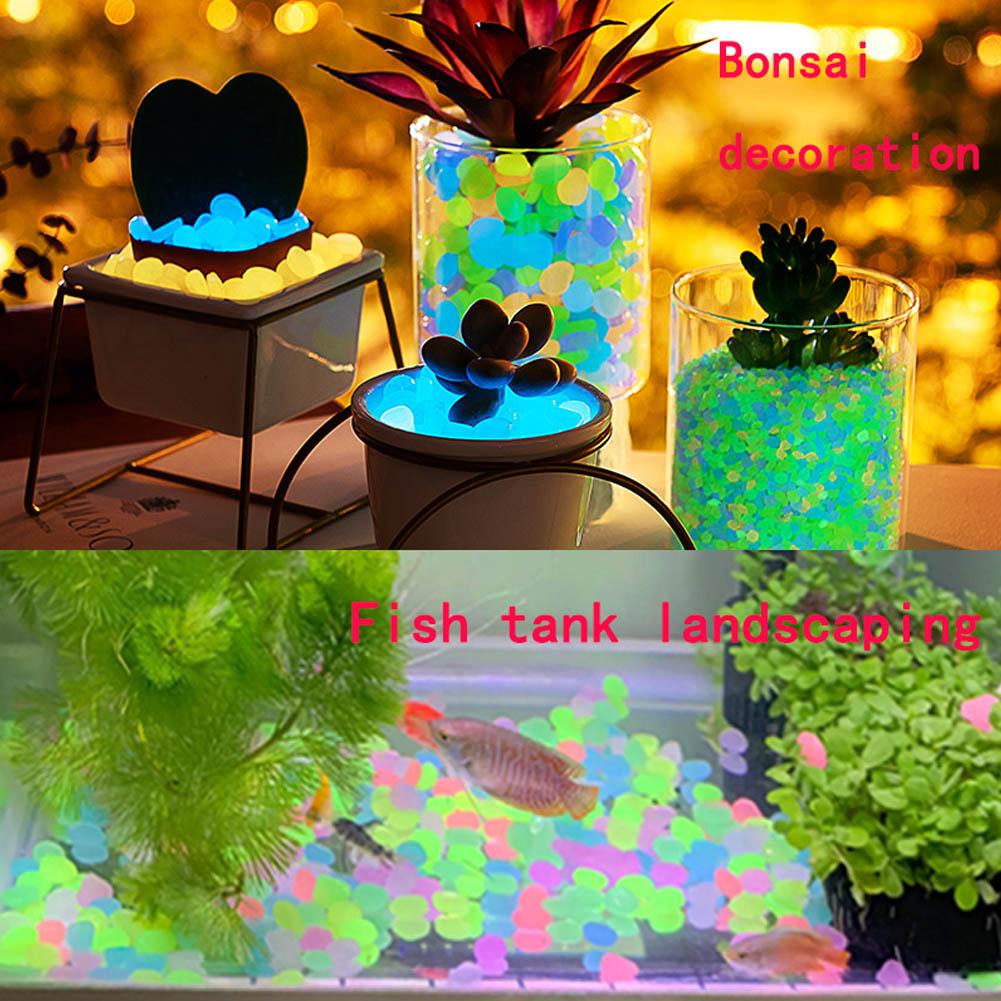 50Pcs Luminous Stones Fish Tan - đánh giá và giá Aquarium Fish Glow In The Dark