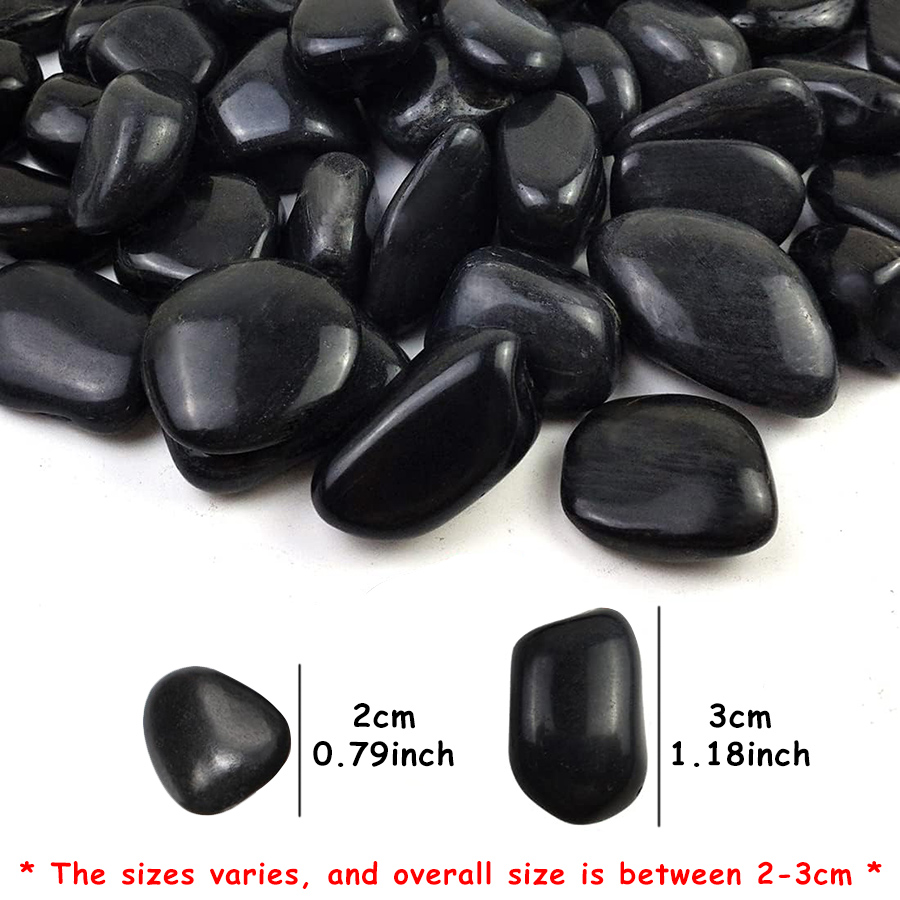 200g Black High Polished Natur - đánh giá và giá Aquarium Fish Bowl