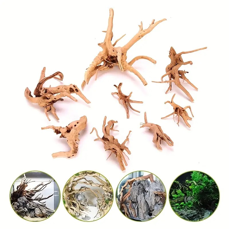 7-26CM 4 Sizes Driftwood Cucko - đánh giá và giá Aquarium Fish Diseases