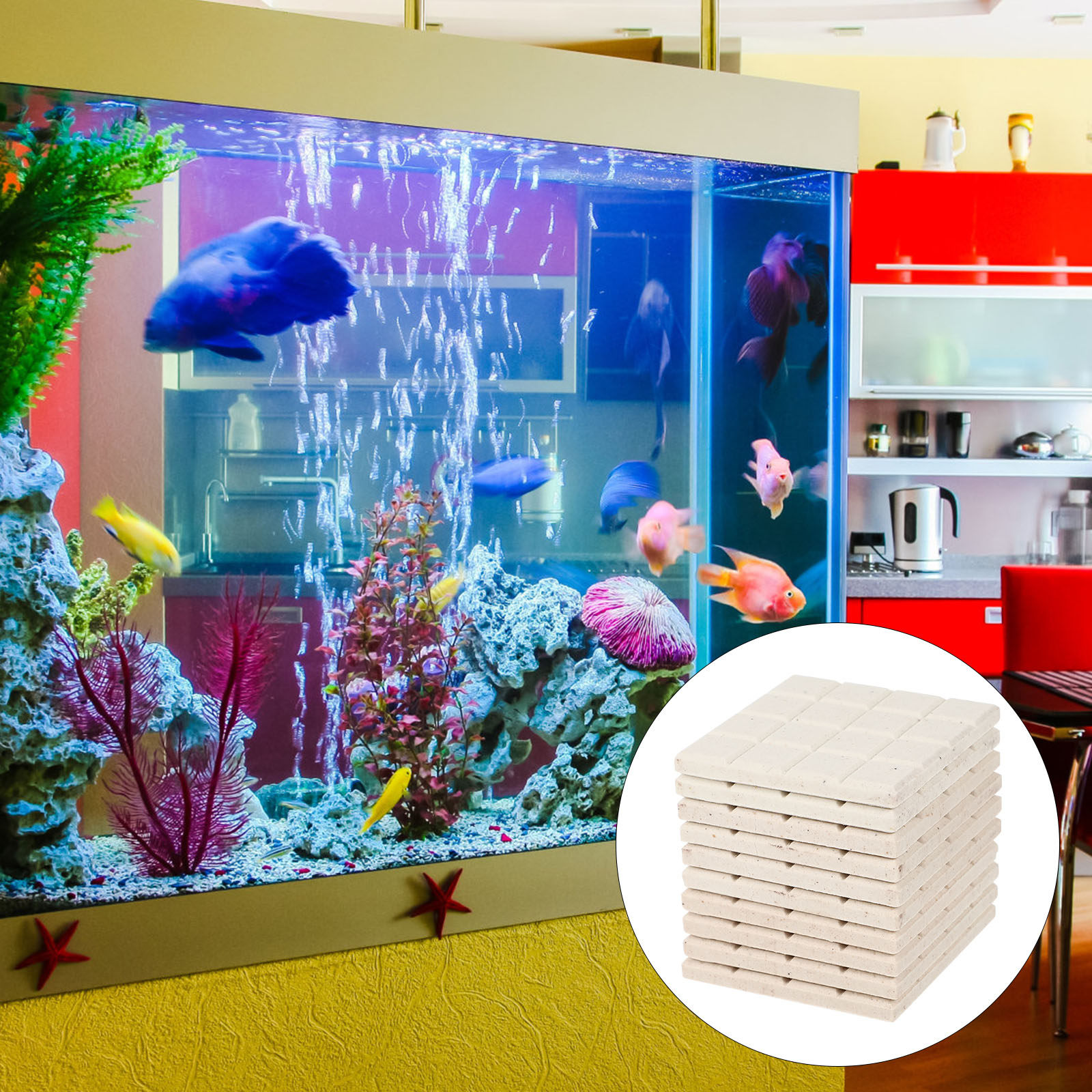10Pcs Aquarium Coral Holder Ce - đánh giá và giá Aquarium Fish Elevator