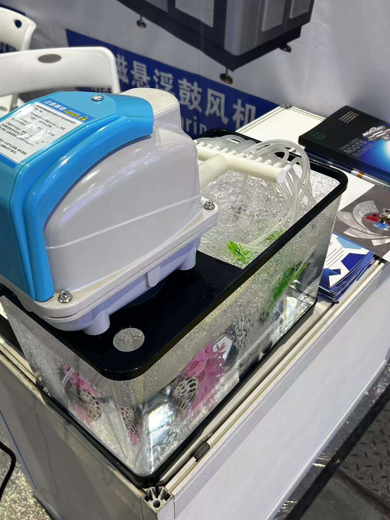 High Quality Aquarium External - đánh giá và giá Aquarium Fish High Price