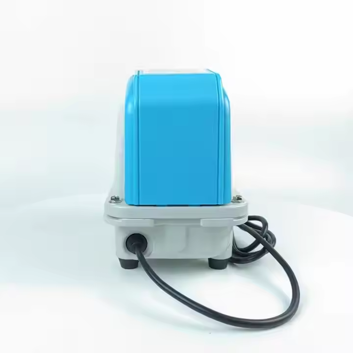 High Quality Aquarium External - đánh giá và giá Aquarium Fish High Price