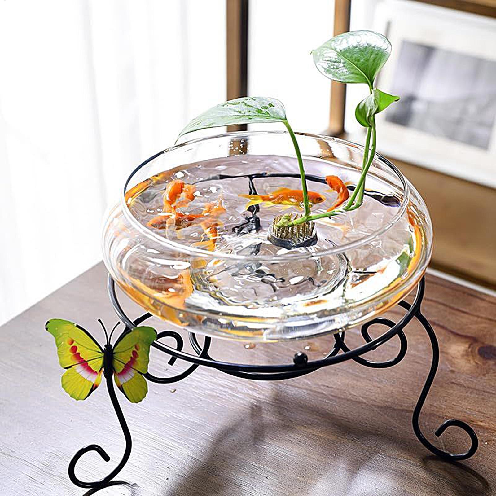 Fish Glass Bowl Glass Large Hy - đánh giá và giá Aquarium Fish Bowl
