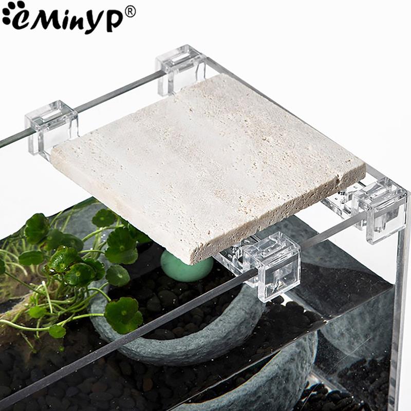 4Pcs Fish Tank Acrylic Clips f - đánh giá và giá Aquarium Fish Elevator