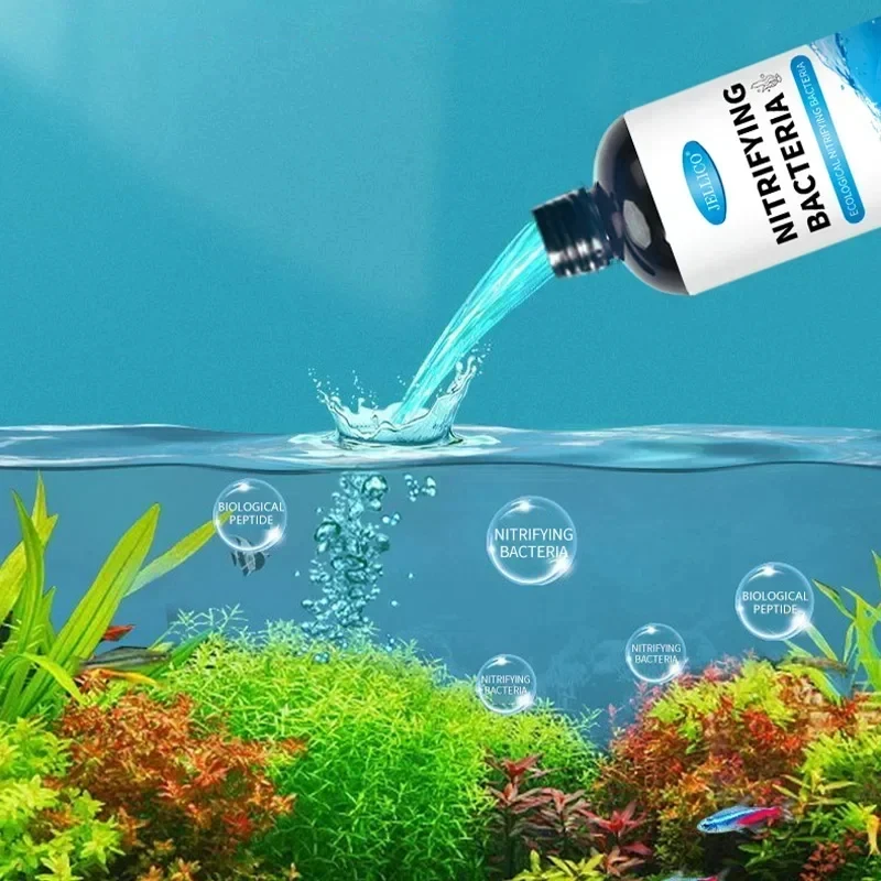 Nitrifying Bacteria Liquid Fis - đánh giá và giá Aquarium Fish Diseases