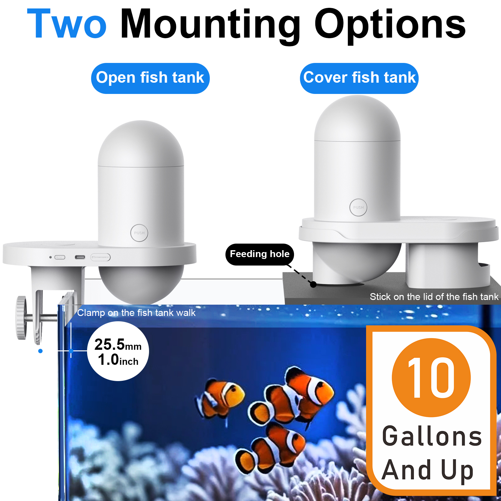 Automatic Fish Feeder With Cam - đánh giá và giá Aquarium Fish Auto Feeder