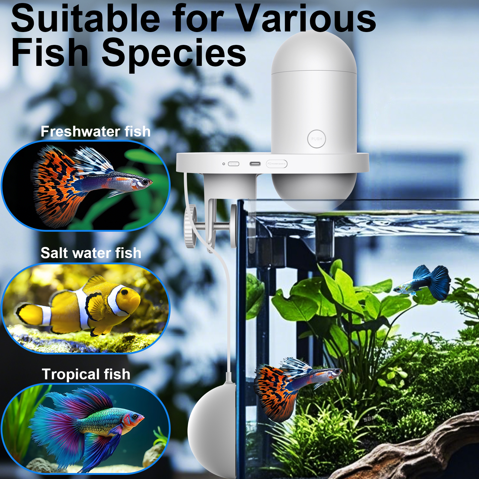 Automatic Fish Feeder With Cam - đánh giá và giá Aquarium Fish Auto Feeder