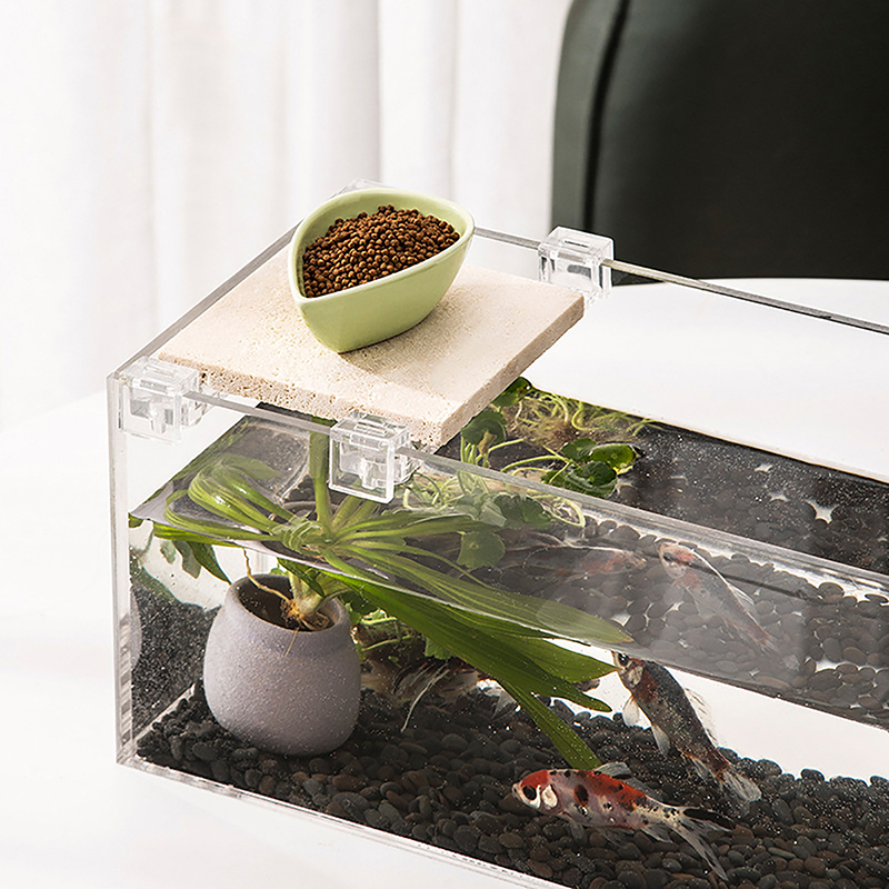 4pcs 6mm/8mm/10mm/12mm/15mm  F - đánh giá và giá Aquarium Fish Elevator