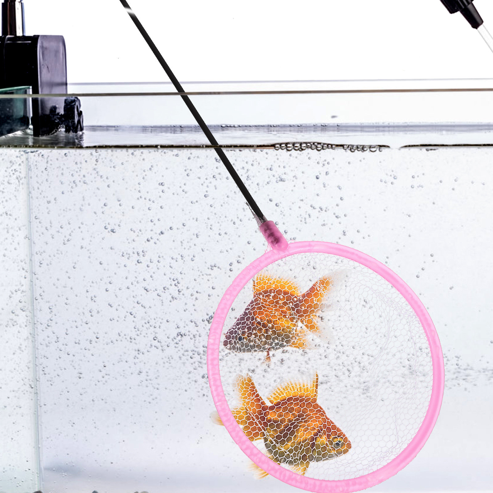 20Pcs Small Aquarium Fishing N - đánh giá và giá Aquarium Fish Net Small