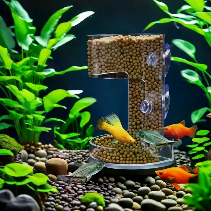 Aquarium Feeder Ring Set - Flo - đánh giá và giá Aquarium Fish Auto Feeder