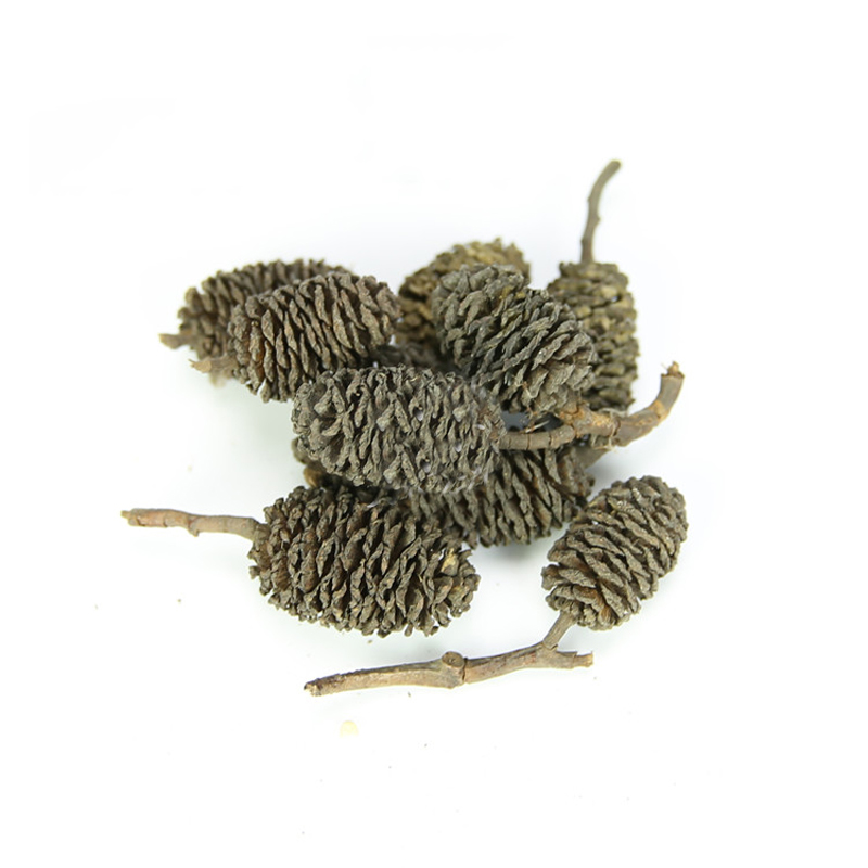 20pcs/lot Alder Cones Anti-Bac - đánh giá và giá Aquarium Fish Diseases