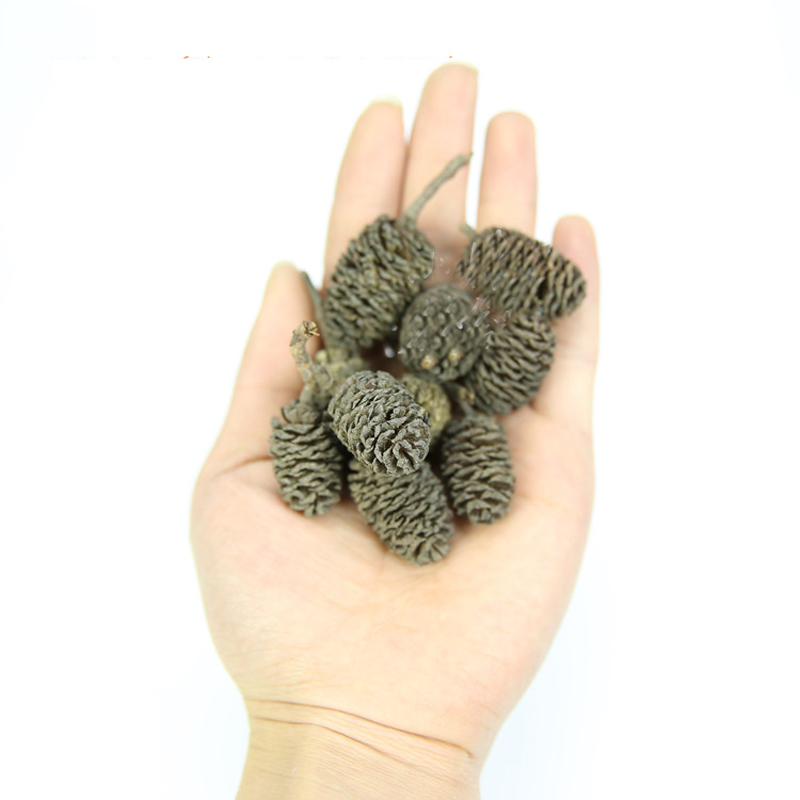 20pcs/lot Alder Cones Anti-Bac - đánh giá và giá Aquarium Fish Diseases