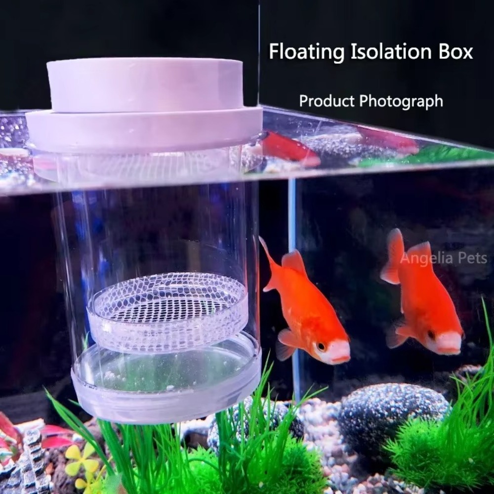Plastic Floating Fish Breeding - đánh giá và giá Aquarium Fish Auto Feeder