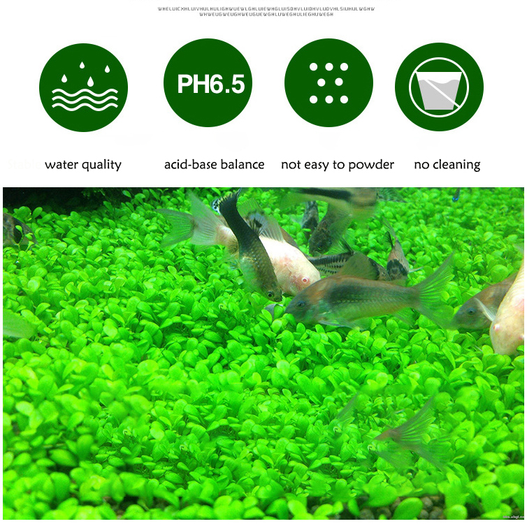 Aquarium Plant Seeds Soil Fish - đánh giá và giá Aquarium Fish Accessories