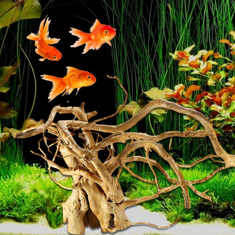 Tree Trunk Micro Landscape Rep - đánh giá và giá Aquarium Fish Diseases