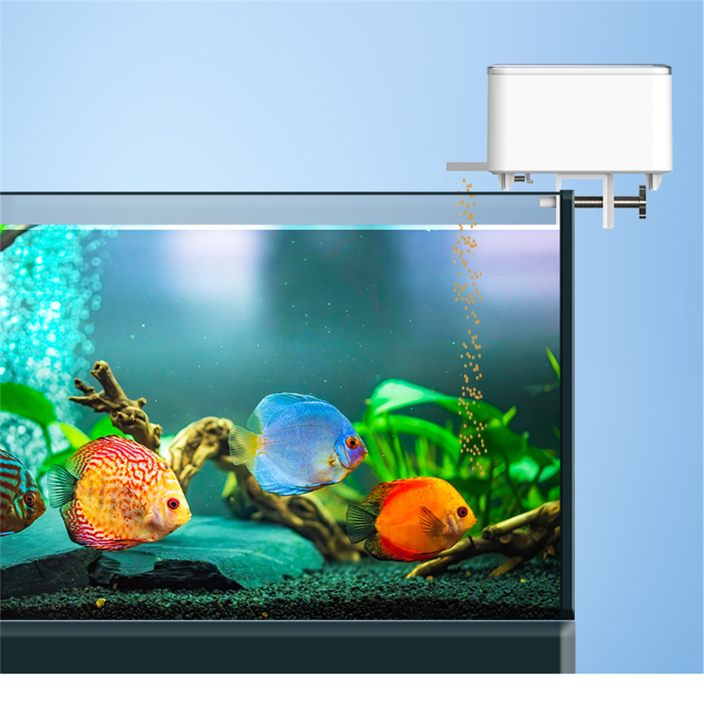 WiFi Smart Automatic Feeder Aq - đánh giá và giá Aquarium Fish Auto Feeder