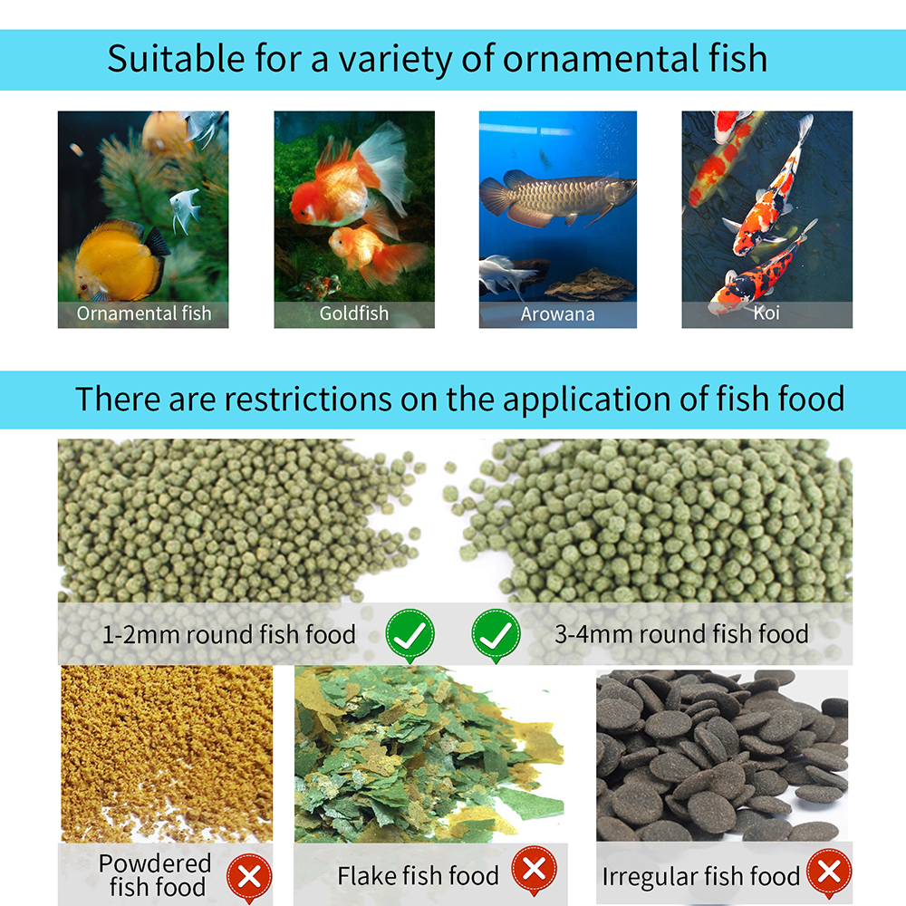 WiFi Smart Automatic Feeder Aq - đánh giá và giá Aquarium Fish Auto Feeder